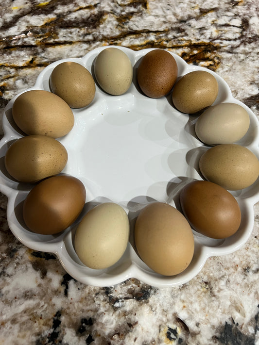 First Generation (F1) Olive Eggers