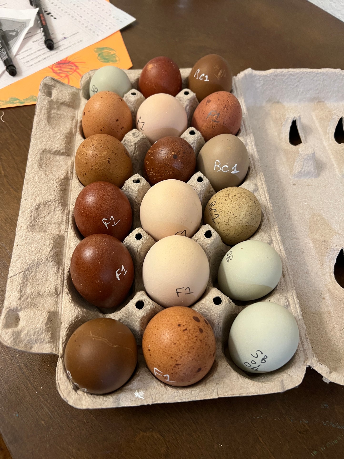 Barnyard Baby Daddy Eggs